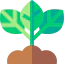 Sprout ícone 64x64