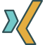 Xing icon 64x64