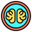 Brain icon 64x64