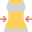 Diet Ikona 64x64
