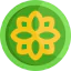 Rune icon 64x64