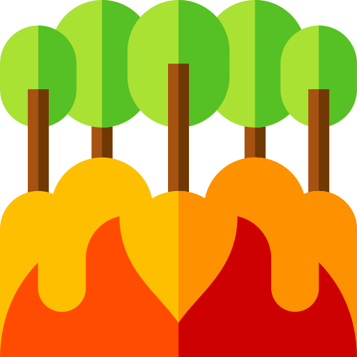 Fire icon