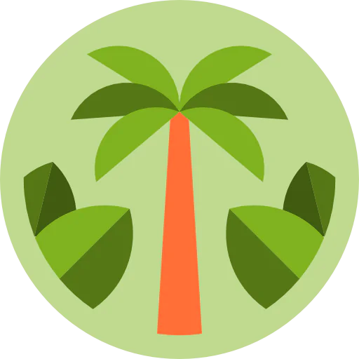 Beach icon