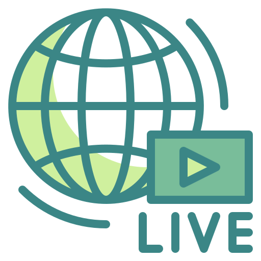 Internet icon