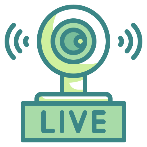 Webcam icon