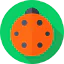 Ladybug 图标 64x64