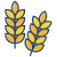 Grains icône 64x64