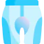 Shorts icon 64x64