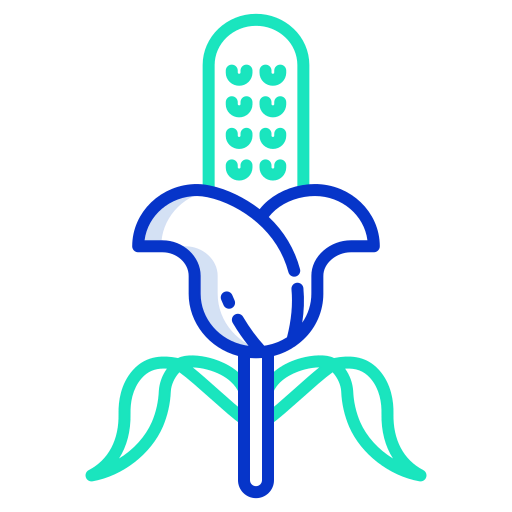 Corn icon