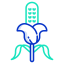 Corn icon 64x64