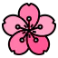 Sakura アイコン 64x64