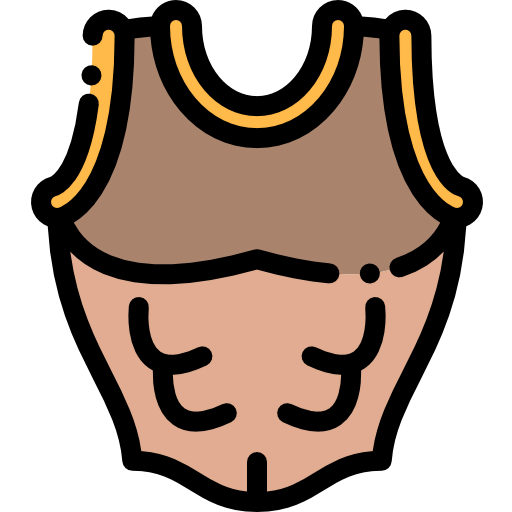 Armor icon