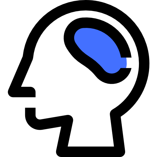 Brain icon