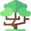 Tree icon 64x64