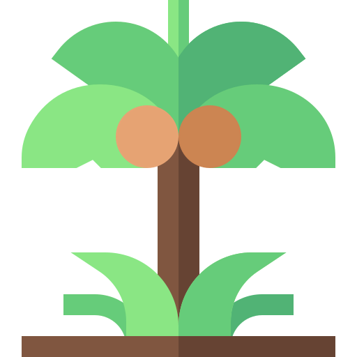 Coconut tree icon