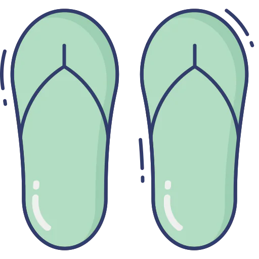 Flip flops icon