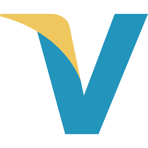 Visa icon