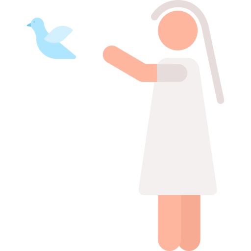 Bride icon