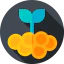 Growth icon 64x64