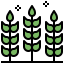 Wheat icon 64x64