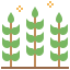 Wheat icon 64x64