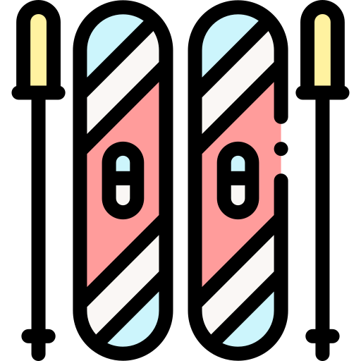 Ski icon