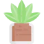Cactus icon 64x64