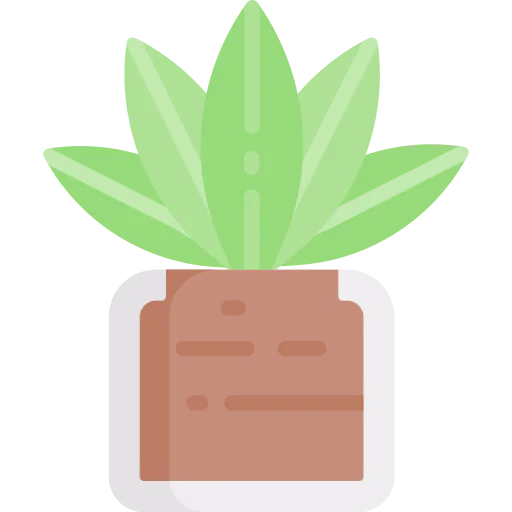 Cactus icon