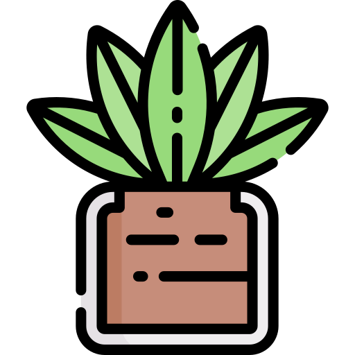 Cactus icon