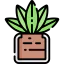 Cactus icon 64x64