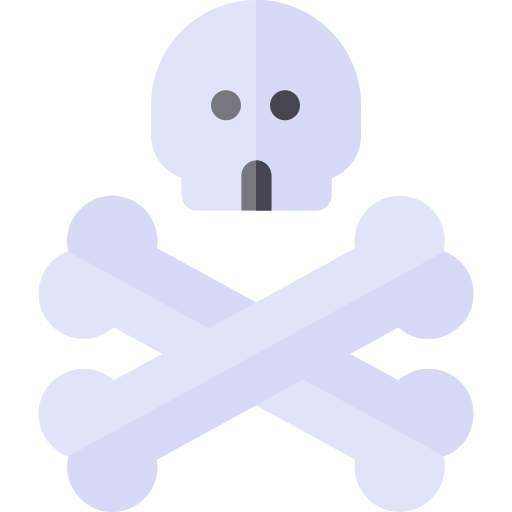 Pirates icon