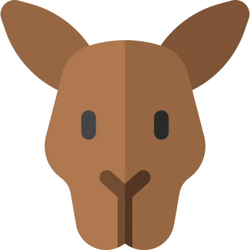 Kangaroo icon