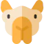 Верблюд иконка 64x64