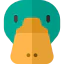 Duck Ikona 64x64