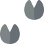 Footprint icon 64x64