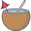 Coconut water 상 64x64