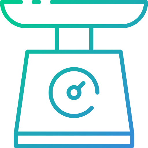 Scale icon