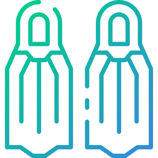 Flippers icon