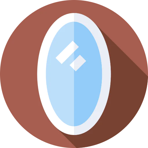 Mirror icon