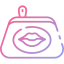 Cosmetic bag icon 64x64