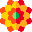 Dalia icon 64x64