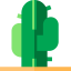 Cactus icon 64x64