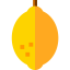 Lemon icon 64x64