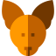 Chihuahua icon 64x64