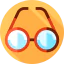 Eyeglasses icon 64x64