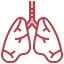 Lungs ícono 64x64