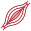 Muscle icon 64x64
