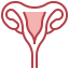 Uterus icon 64x64
