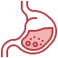 Stomach icon 64x64
