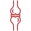 Knee joint 상 64x64